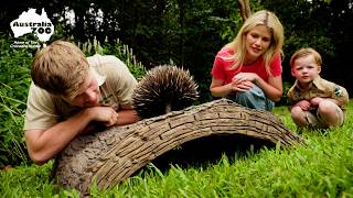 Robert Irwin Introduces Witney Carson to Australian Animals!