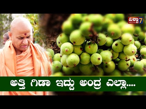 Kaadsiddeshwar Swamiji | ಅತ್ತಿ ಹಣ್ಣು  | Part-08