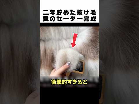 愛犬の抜け毛を2年間集め続けた少女…完成した「衝撃の作品」がヤバいww🐶🧶