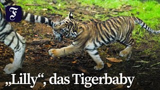 Namensverkündung im Tierpark Berlin