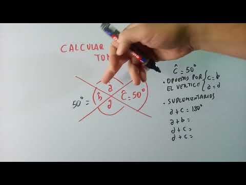 Ángulos Opuestos por el Vértice y Suplementarios