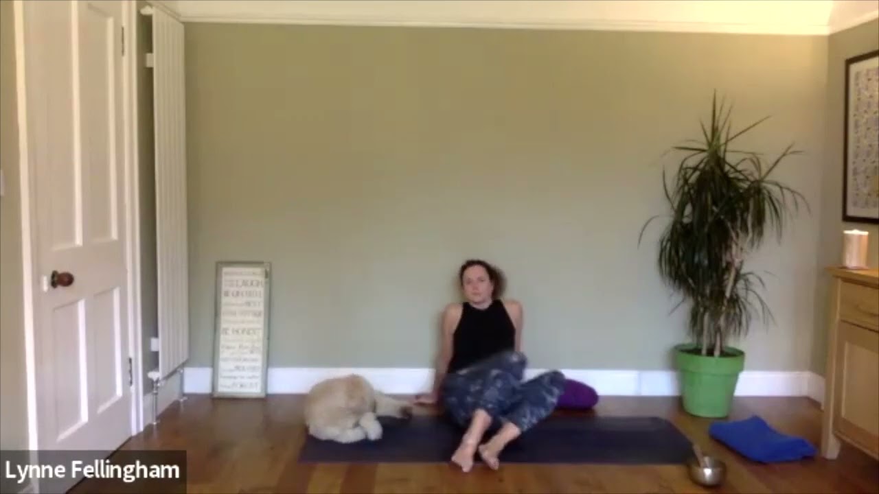 YinYasa, 7th Nov 2022, 11.30-12pm