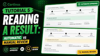 Politically Exposed Person Match: How to Review It Properly