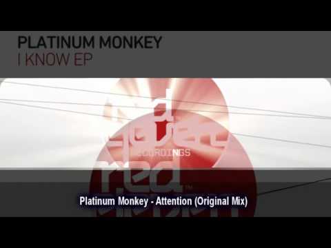 Platinum Monkey  Attention Original Mix)