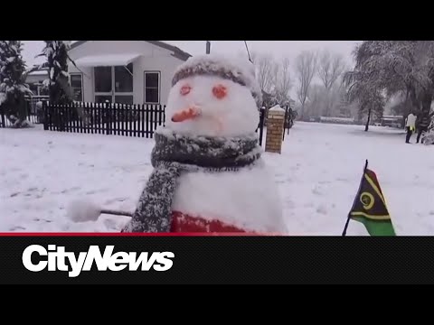 Eastern Australia hit with most snow in 40 years