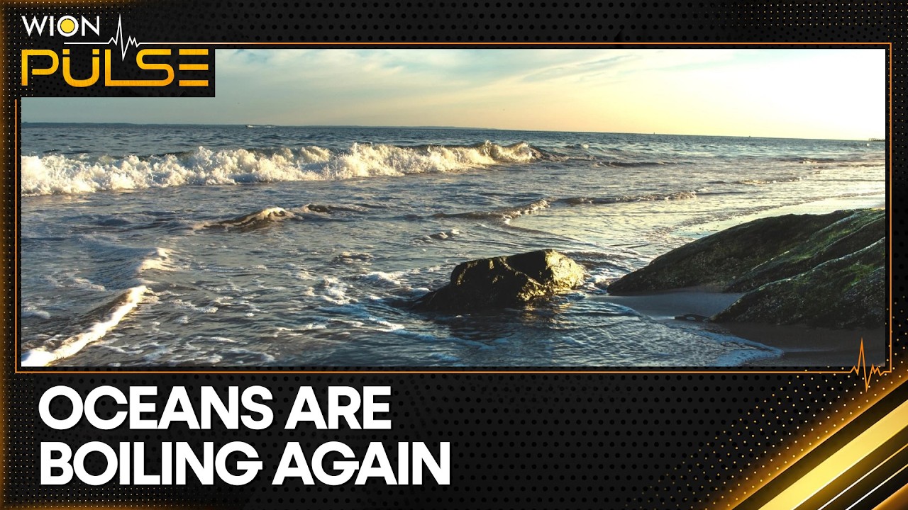 El Nino Conditions Expected To Develop From May Onwards | WION Pulse