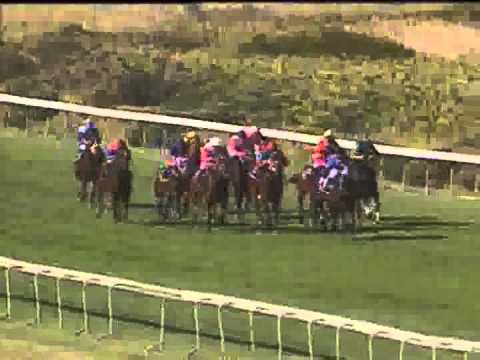 Pocket Power to lead out 2012 Queen's Plate field