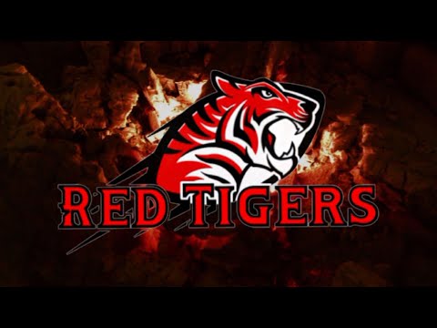 Red Tigers are born