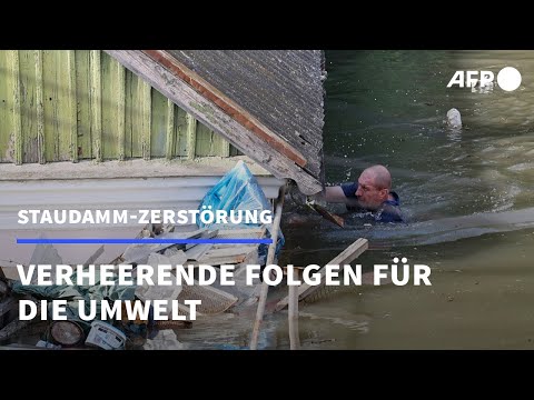 Umweltschützer entsetzt über Folgen von Staudamm-Zerstörung | AFP