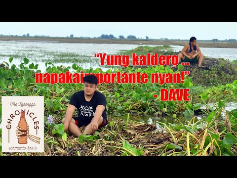 Vlog 1: Water Lily Challenge | Primitive Cooking | Fishing Trip - LASENGGO CHRONICLES