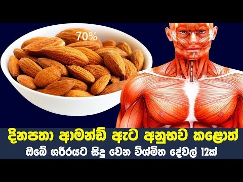 දිනපතා ආමන්ඩ් ඇට අනුභව කළොත් ඔබේ ශරීරයට සිදු වෙන විශ්මිත දේවල් 12ක් | 12 Health Benefits of Almonds