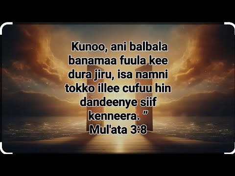 Abdii hin kutin hin sodaatin!