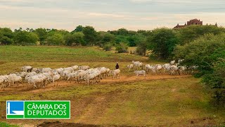 Discussão e votação de propostas legislativas - 03/12/2025 10:30