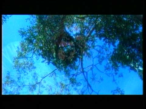 Amuk - Jernih (Official Music Video)