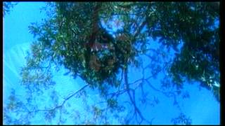 Download lagu Amuk - Jernih mp3