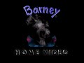 Barney Home Video Logo Gone Horribly Wrong