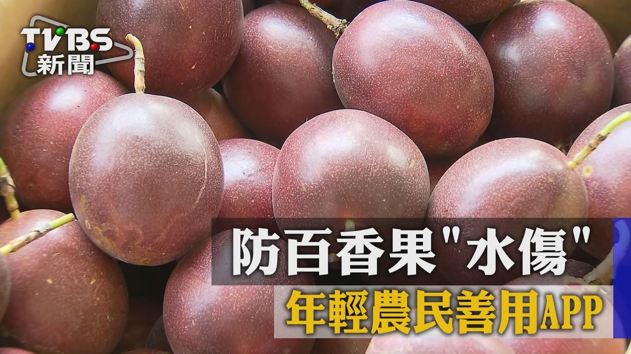防百香果水傷　年輕農民善用APP