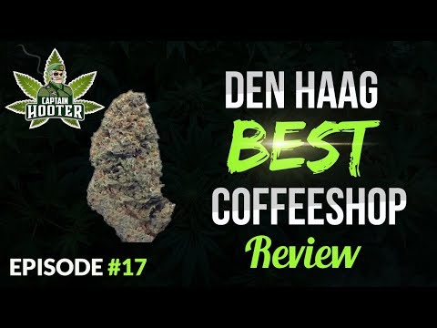 download lagu mp3 mp4 Dizzy Duck, download lagu Dizzy Duck gratis, unduh video klip Dizzy Duck