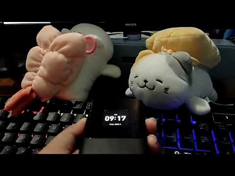 How to change Ringtone on Nokia 2720 Flip