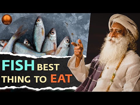 EATING MEAT Ethically wrong🤔❓| VEG🥬 Vs NON-VEG🍗 (Or Fish🐟❓) | Kriya Yogi | Sadhguru