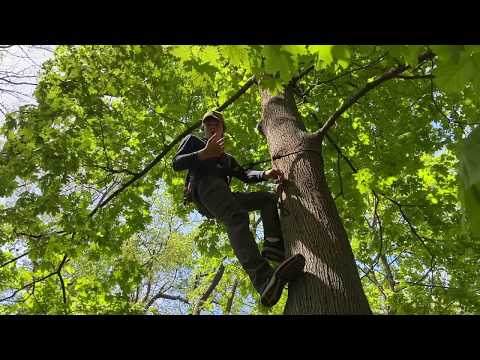 Ameristep step-up review and climb!