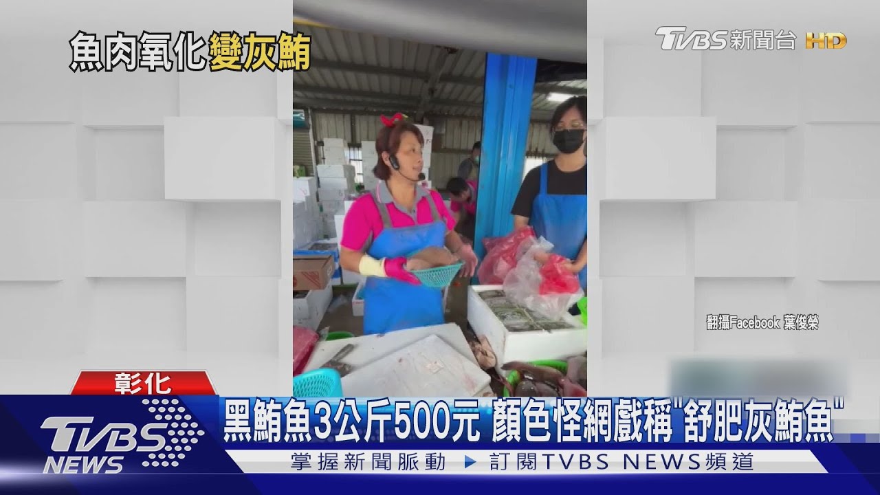 黑鮪魚3公斤500元 顏色怪網戲稱「舒肥灰鮪魚」