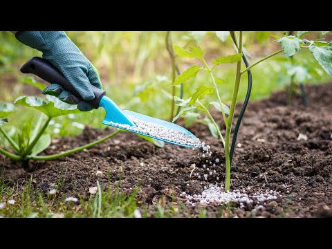 Zimbabwean Fertilizer Industry Invests $14.2 Million to Boost Production