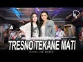 Nella Kharisma X Yeni Inka Tresno Tekane Mati Official Music Video