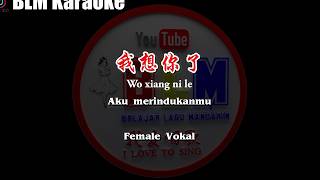 Download lagu Wo xiang ni le - 我想你了 - Female - Vokal - Terjemahan - Pinyin - Lyrics - Lirik mp3 Download lagu Wo xiang ni le - 我想你了 - Female - Vokal - Terjemahan - Pinyin - Lyrics - Lirik mp3