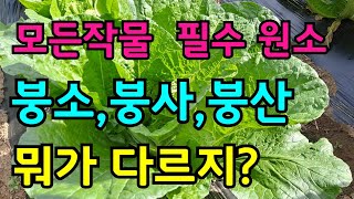 아시나요?  붕소, 붕사, 붕산 차이점