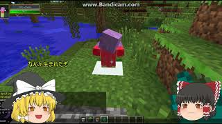 ゆっくり実況　様々なＭＯＤ導入クラフト　｛マインクラフト｝22