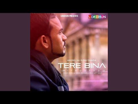 Tere Bina (feat. Pav Dharia)