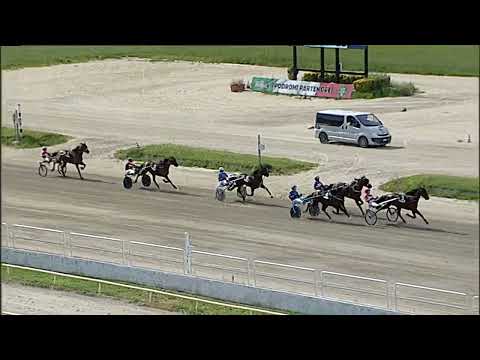 Napoli Trotto 03/06/2023 - 5ª corsa