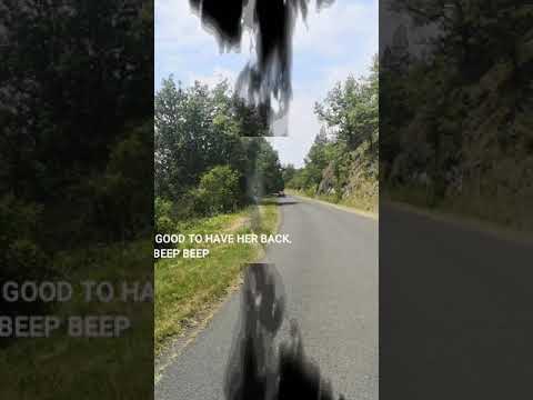 Fifis French Adventure - Day 4 - driving a vintage 2CV from The Dordogne to The Cantal