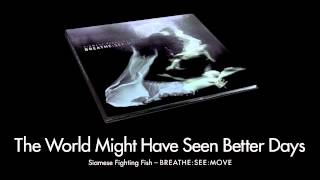 Siamese Fighting Fish - The World Might Have Seen Better Days