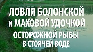 Рыбалка болоньез как способ ловли в стоячей воде