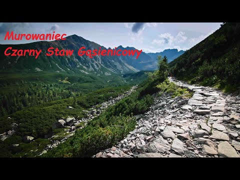 Tatry - Brzeziny - Dolina Suchej Wody - Murowaniec - Czarny Staw Gąsienicowy