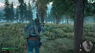 Days gone livestream gameplay with Sinistrous
