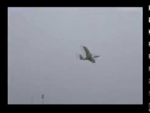 PteroWorks 18" Micro Pterodactyl