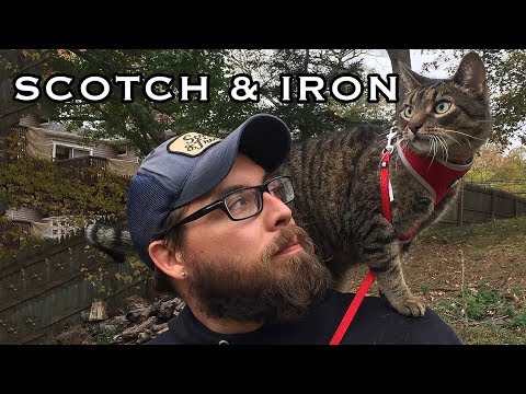 download lagu mp3 mp4 Scotch And Iron Hat, download lagu Scotch And Iron Hat gratis, unduh video klip Scotch And Iron Hat