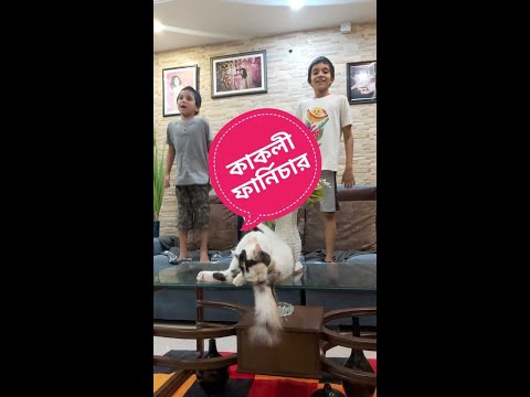 দামে কম মানে ভালো কাকলী ফার্নিচার 🥴