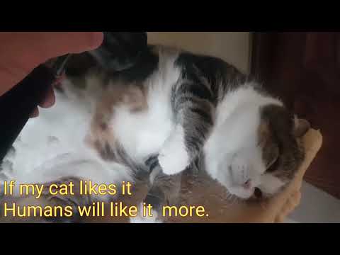 Deep Muscle Massager