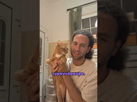 ΔΙΑΓΩΝΙΣΜΟΣ ΧΑΖΟΜΑΡΑΣ! | #cat #comedy #cats