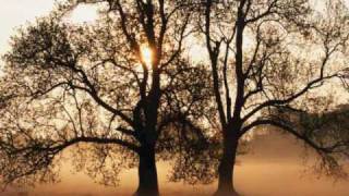 Jeff Lorber Point Venus