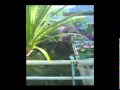 The Most Beautiful Gas Station Loei Thailand Mpg