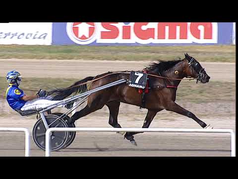 Napoli Trotto 19/09/2023 - 3ª corsa