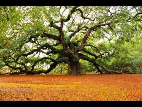 Jason Dowell ~ Down for the Last Boogie