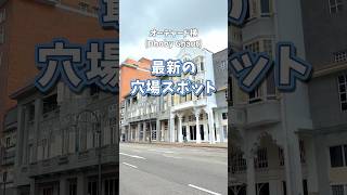 【2026最新】ピアノや遊び場も無料の神施設リニューアルオープン✨【子連れシンガポール】