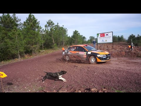 Rally Istanbul 2021 | Actions, Maximum Attack, Flat Out