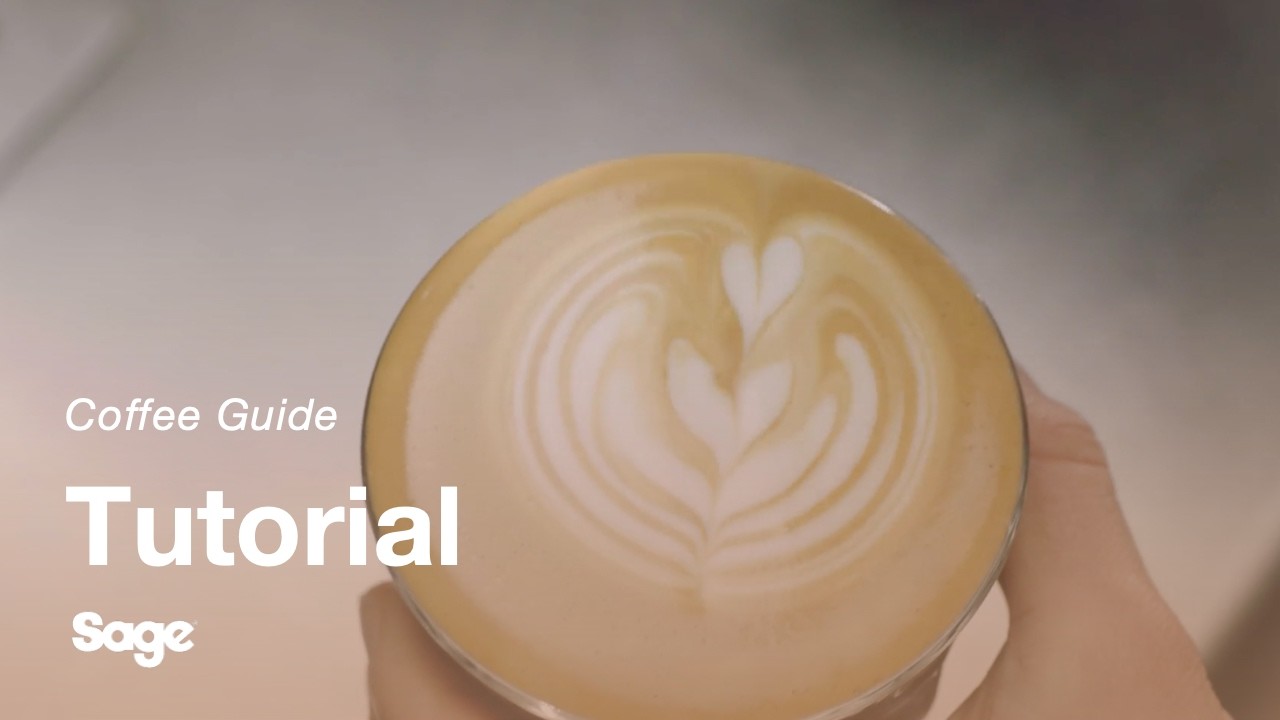 How to create latte art: the tulip & rosetta